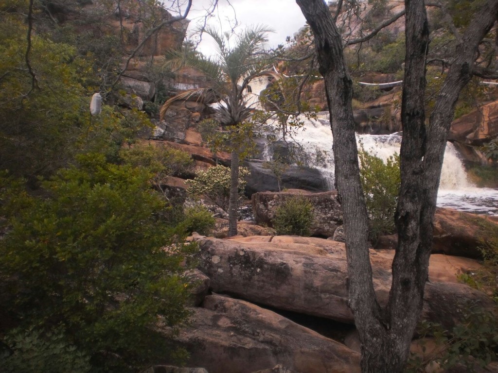 IMG-20150310-WA0019