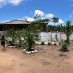 Quintal