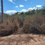 Lote