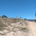 Rua