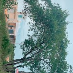 Id 16864 Corretora em Seabra (03)