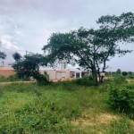 Id 16864 Corretora em Seabra (04)