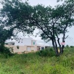 Corretora em Seabra Id 16864 