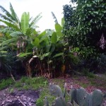 ID 17526 (8)