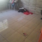 -5116544151624723259_121