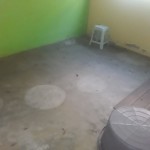 -5116544151624723260_121