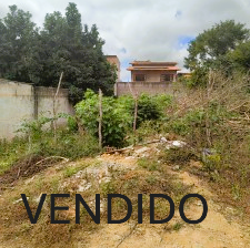 ID 17984 VENDIDO