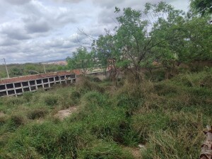 ID 18137 (1) lote para vender