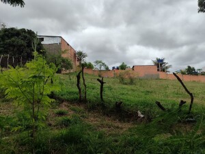 ID 18167 (5) lote para vender