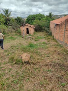 ID 18167 (8) lote a venda