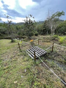 Id 18327 (1) Sitio a venda