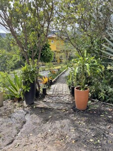 Id 18327 (13) sitio para venda