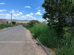 id 18789 (7) Lote pra venda