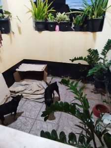 photo_2026-02-19_11-27-52 sorado para venda