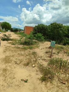 photo_2026-02-19_11-30-31 lote a venda