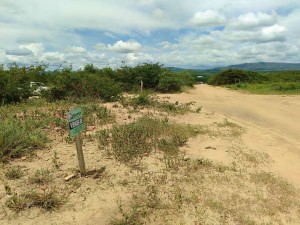 photo_2026-02-19_11-30-39 terreno para vender